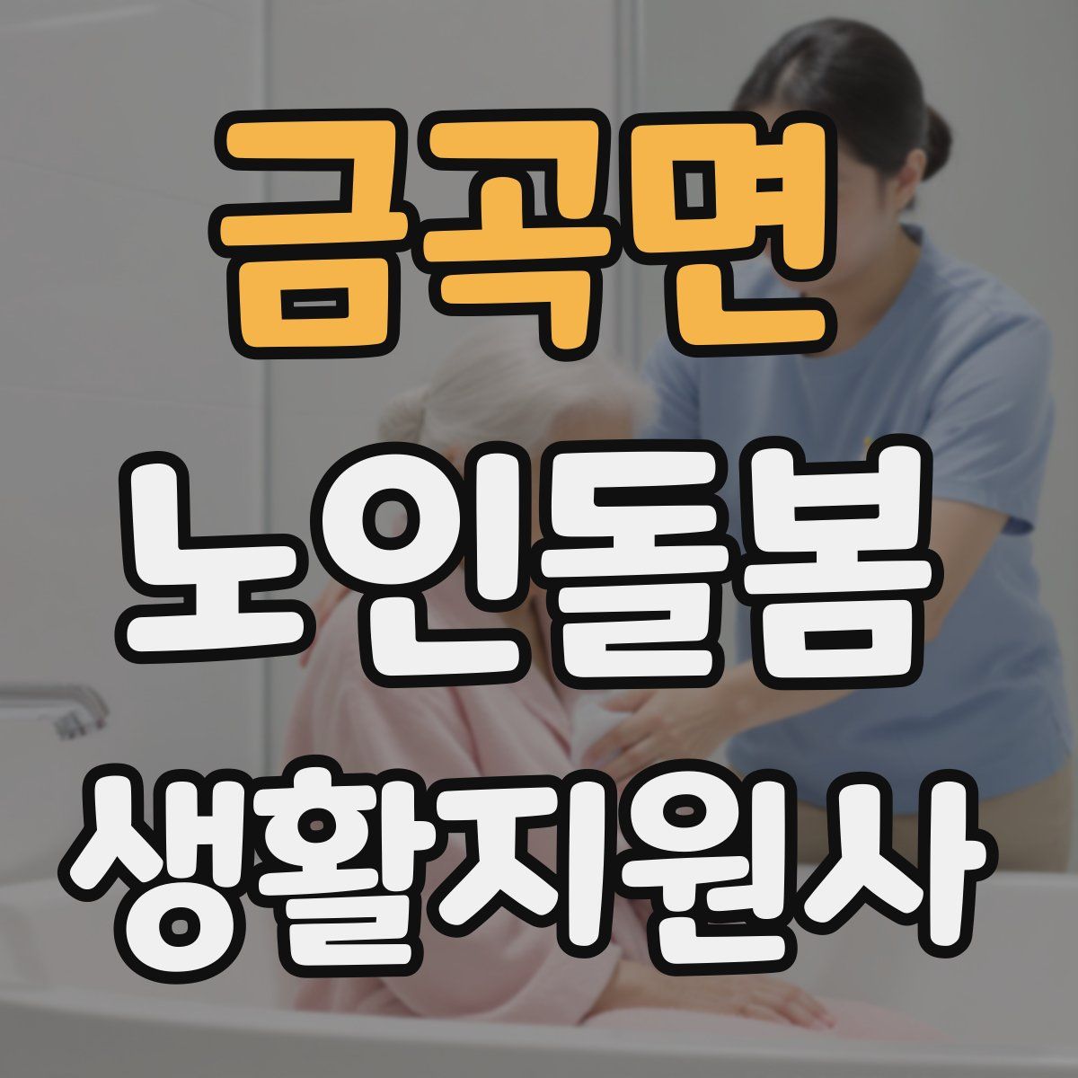 금곡면 노인돌봄생활지원사 자격증