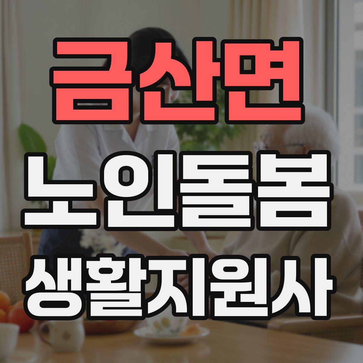 금산면 노인돌봄생활지원사 자격증