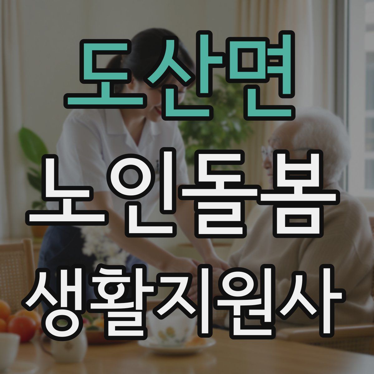 도산면 노인돌봄생활지원사 자격증