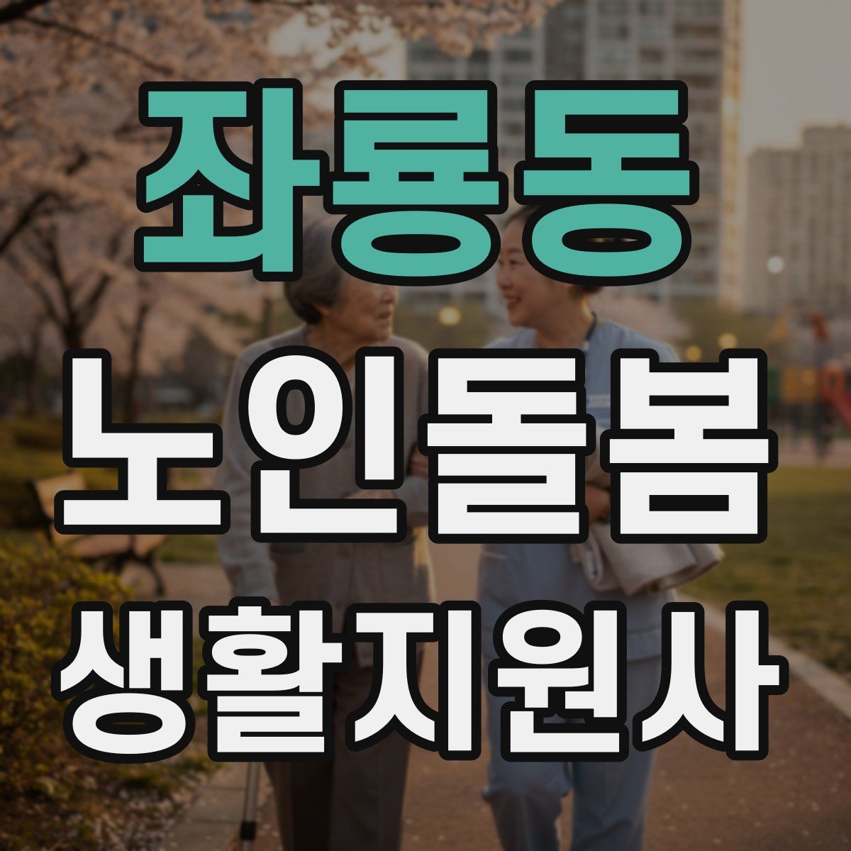 좌룡동 노인돌봄생활지원사 자격증
