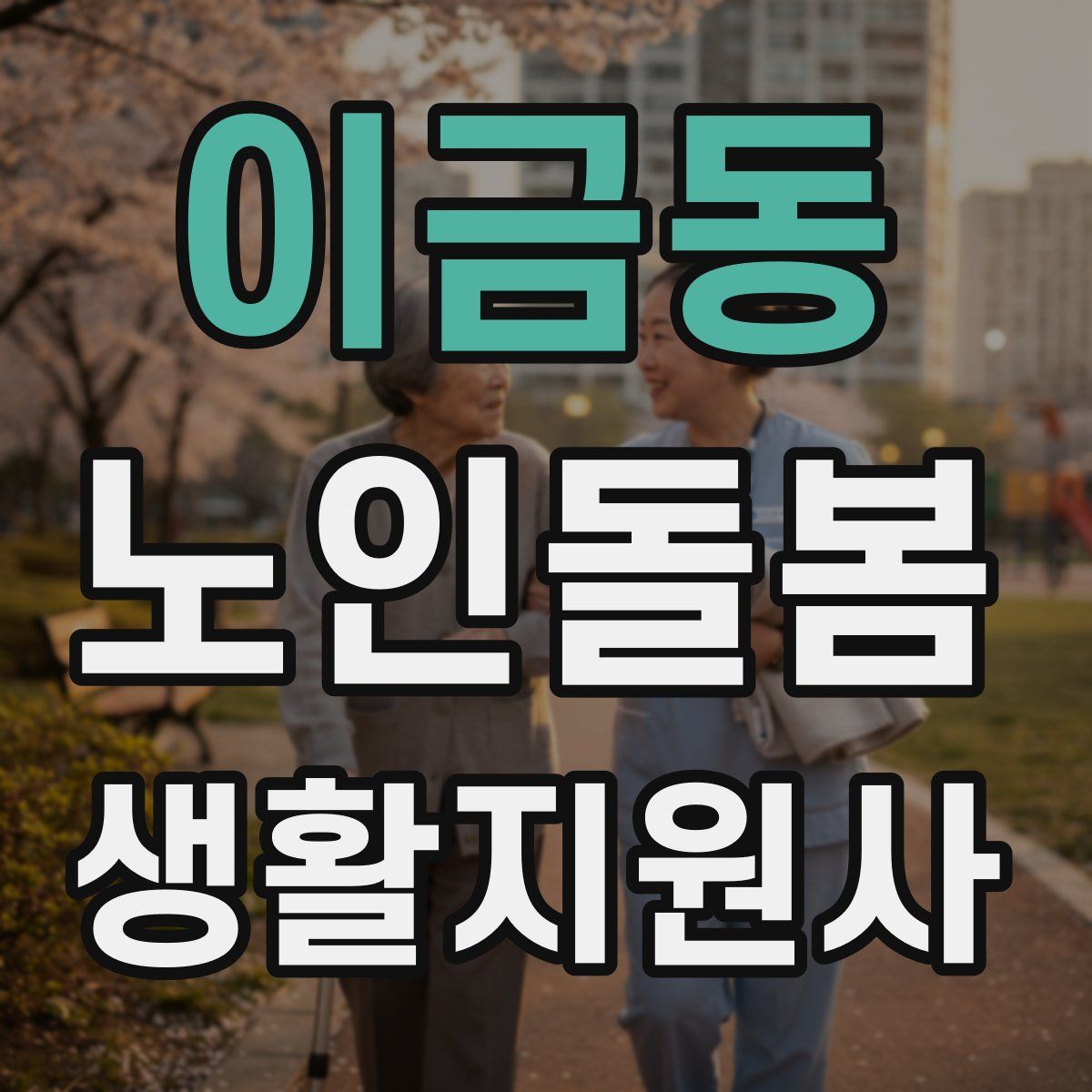 이금동 노인돌봄생활지원사 자격증