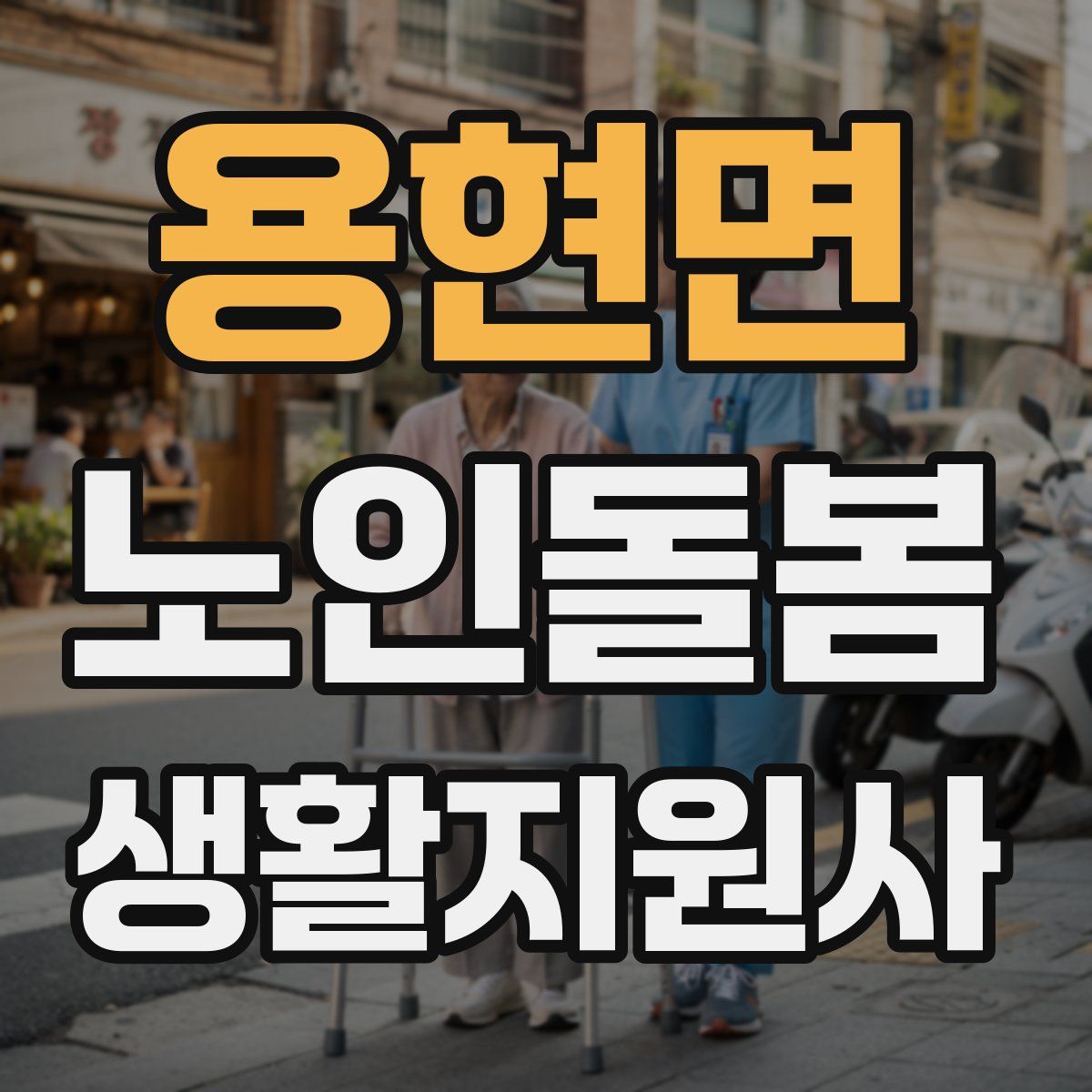 용현면 노인돌봄생활지원사 자격증