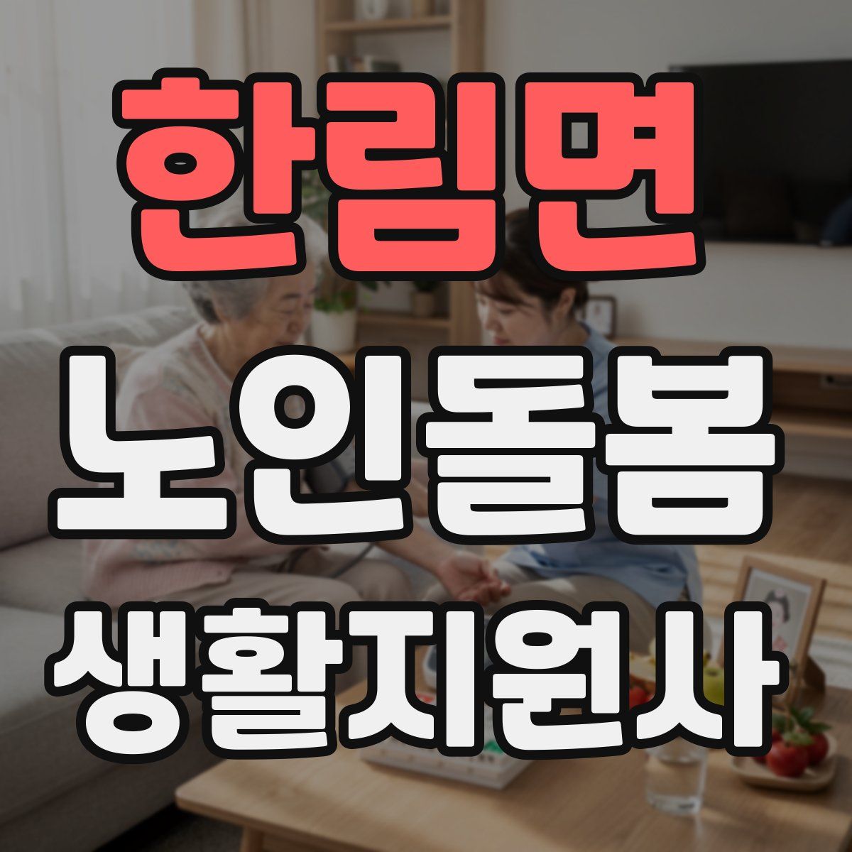 한림면 노인돌봄생활지원사 자격증