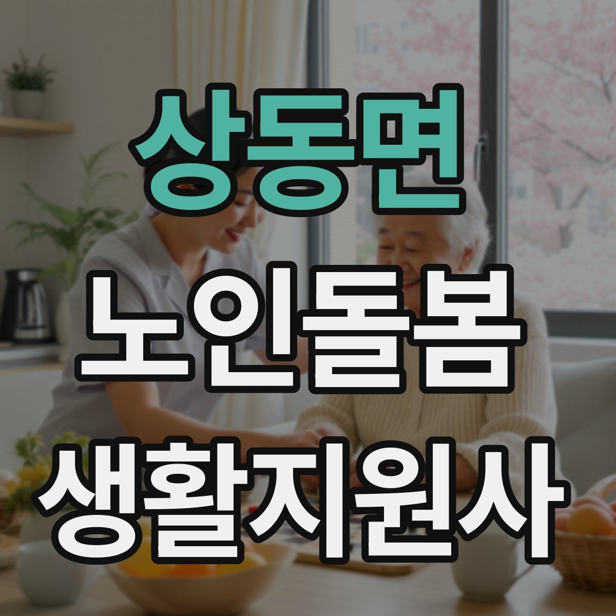 상동면 노인돌봄생활지원사 자격증