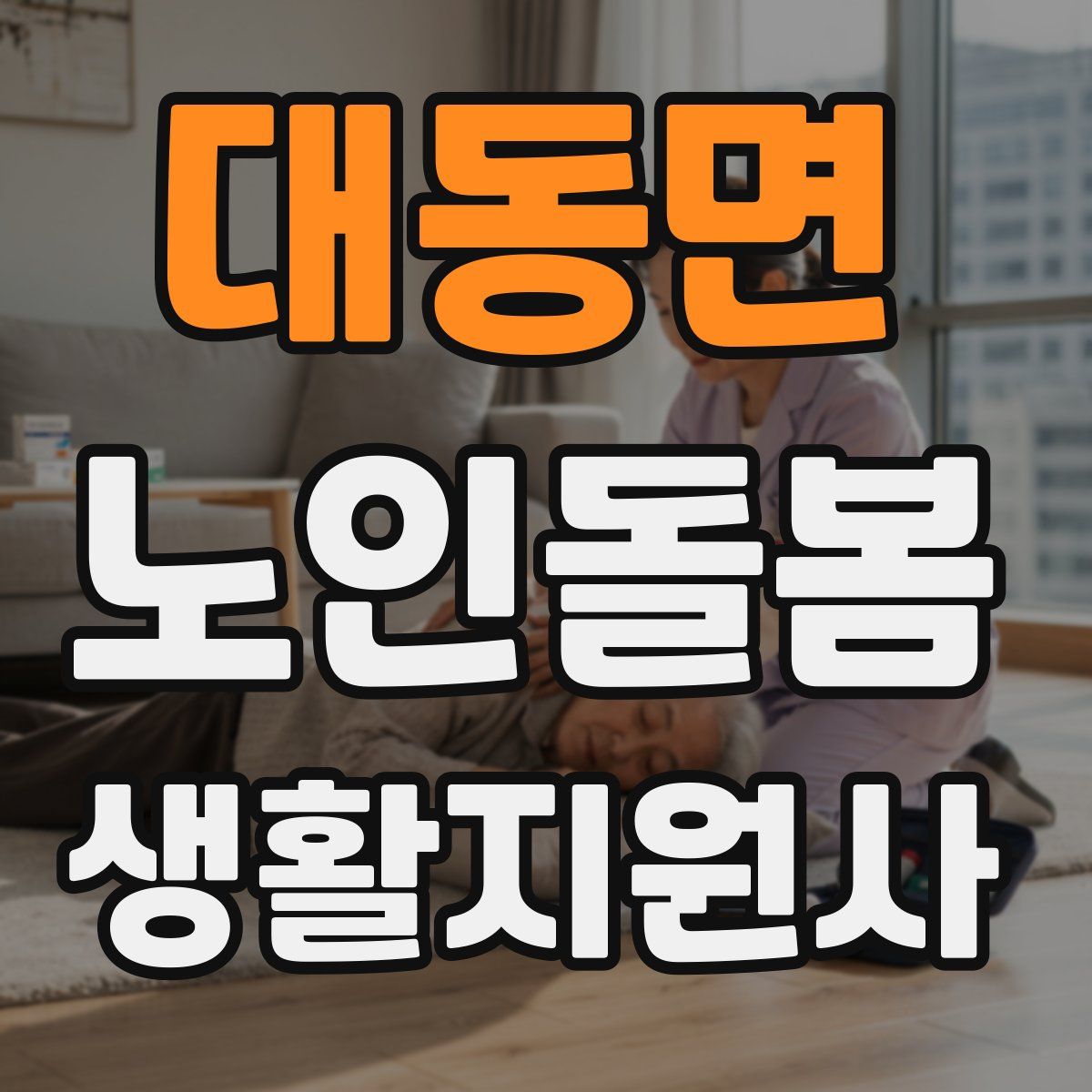 대동면 노인돌봄생활지원사 자격증