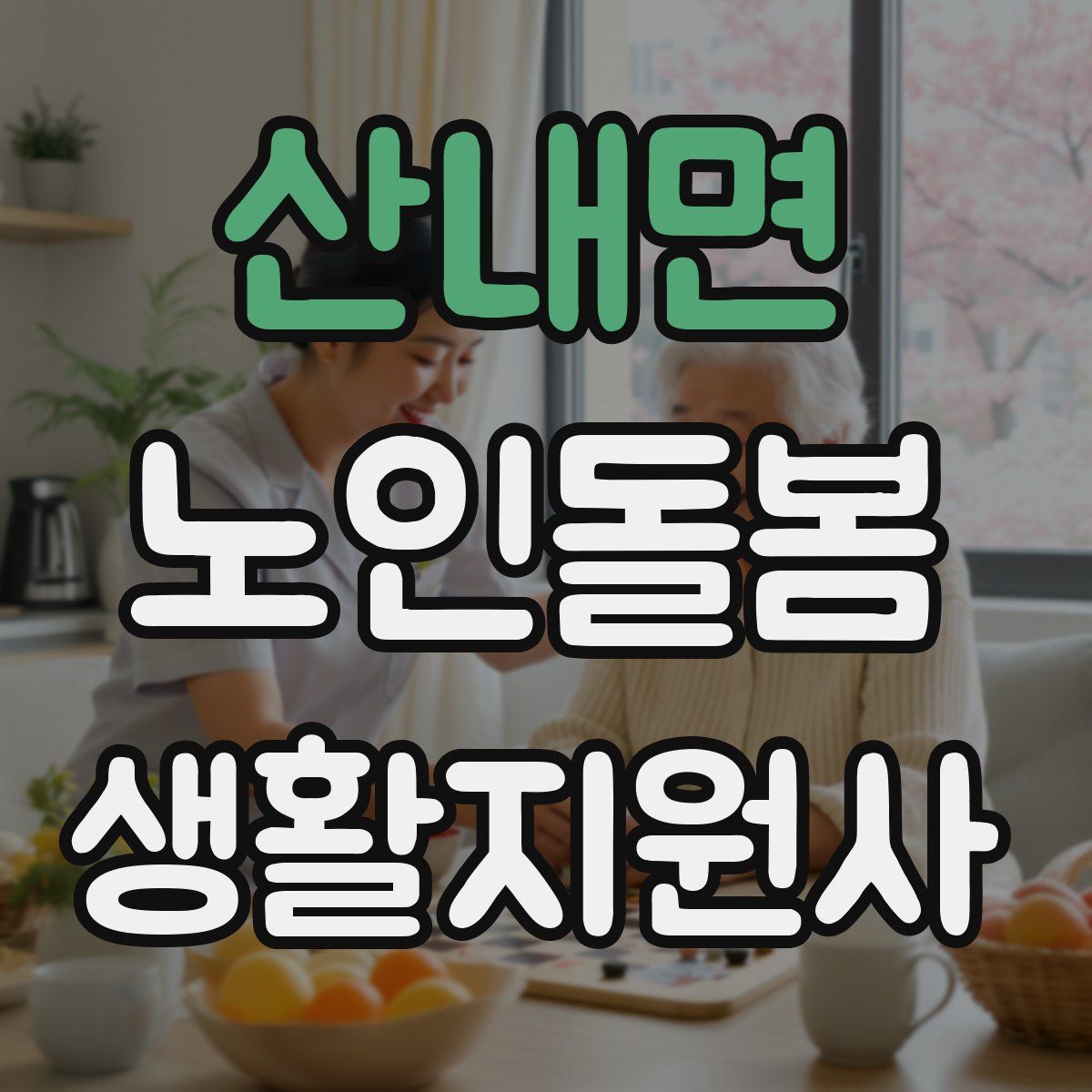 산내면 노인돌봄생활지원사 자격증