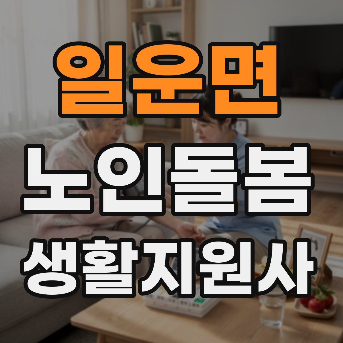 일운면 노인돌봄생활지원사 자격증