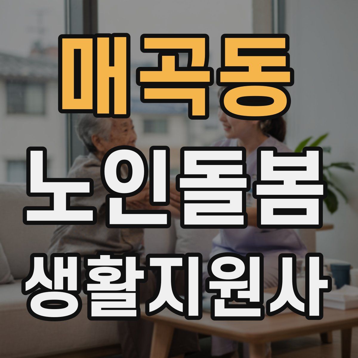 매곡동 노인돌봄생활지원사 자격증