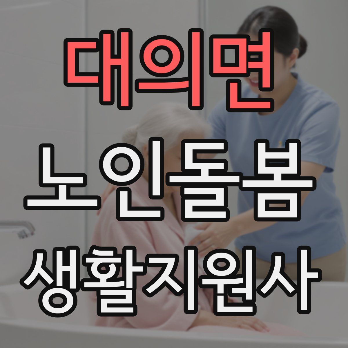 대의면 노인돌봄생활지원사 자격증