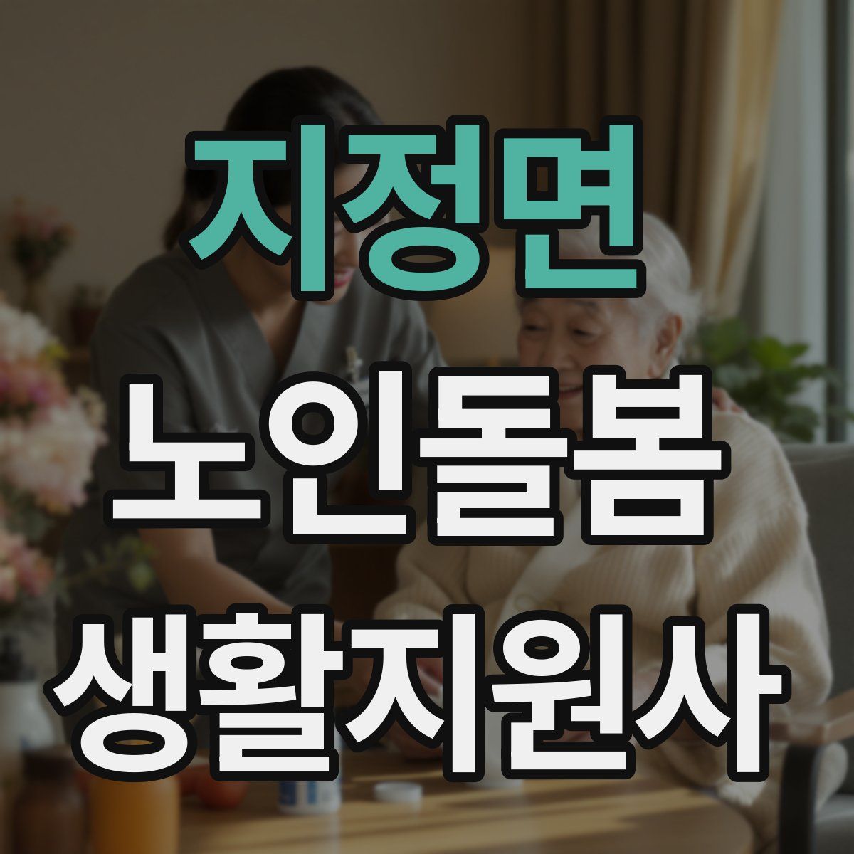 지정면 노인돌봄생활지원사 자격증