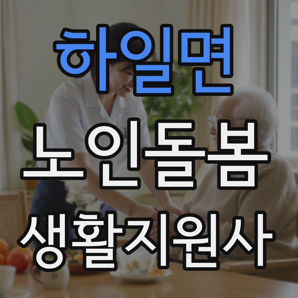 하일면 노인돌봄생활지원사 자격증
