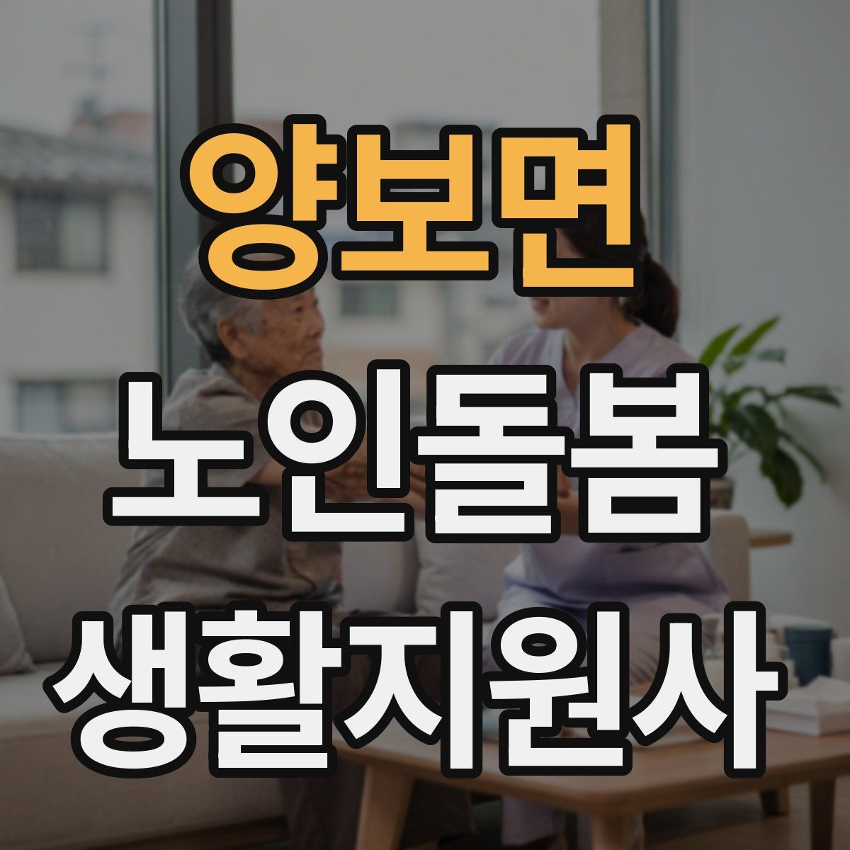 양보면 노인돌봄생활지원사 자격증