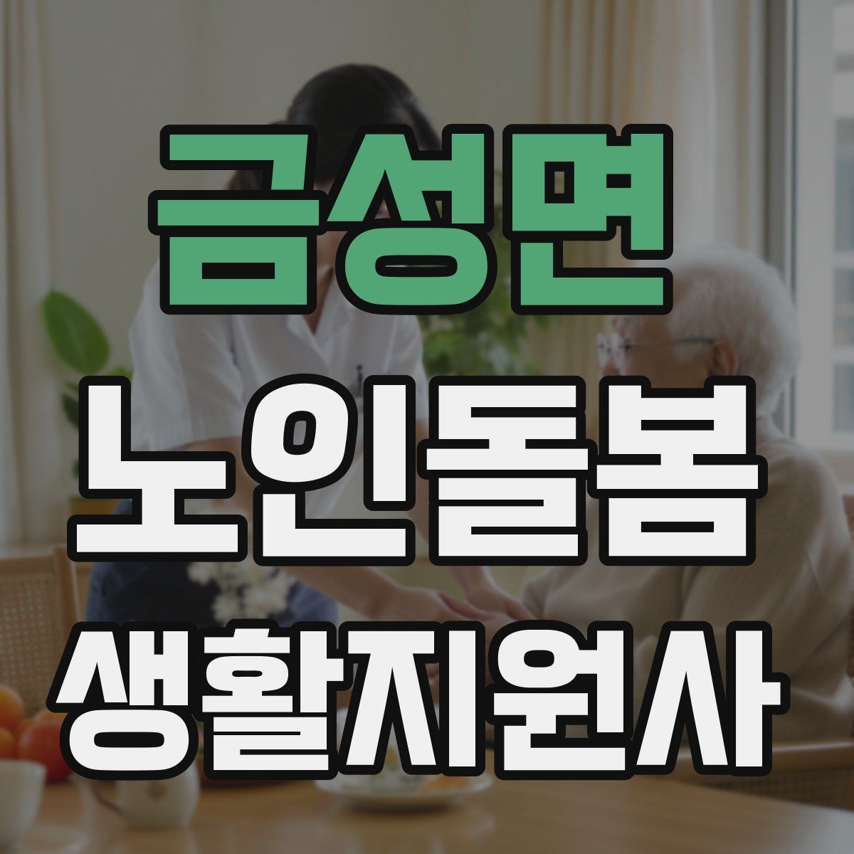 금성면 노인돌봄생활지원사 자격증