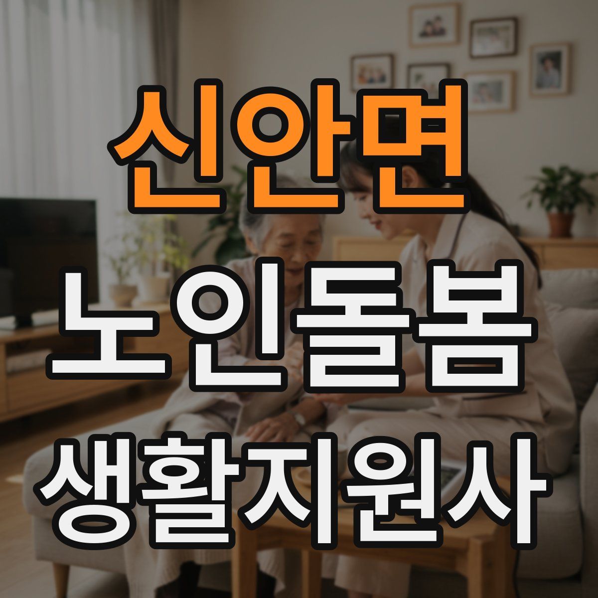 신안면 노인돌봄생활지원사 자격증