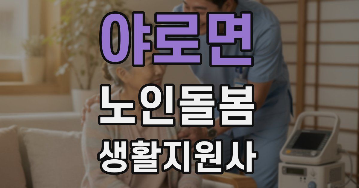 야로면 노인돌봄생활지원사 자격증