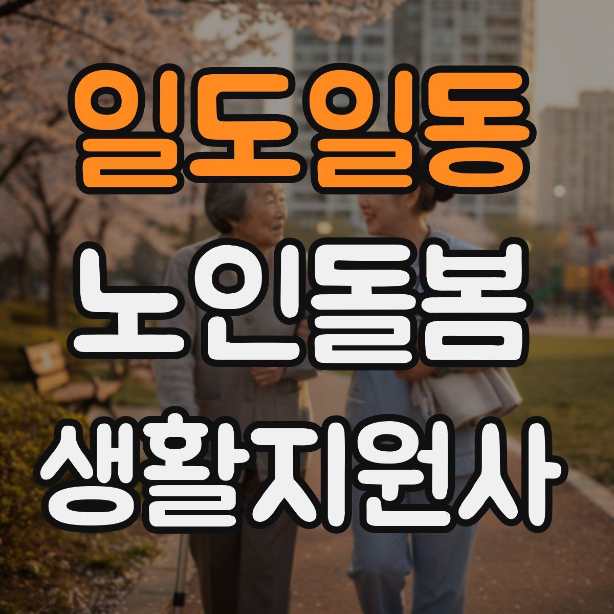 일도일동 노인돌봄생활지원사 자격증