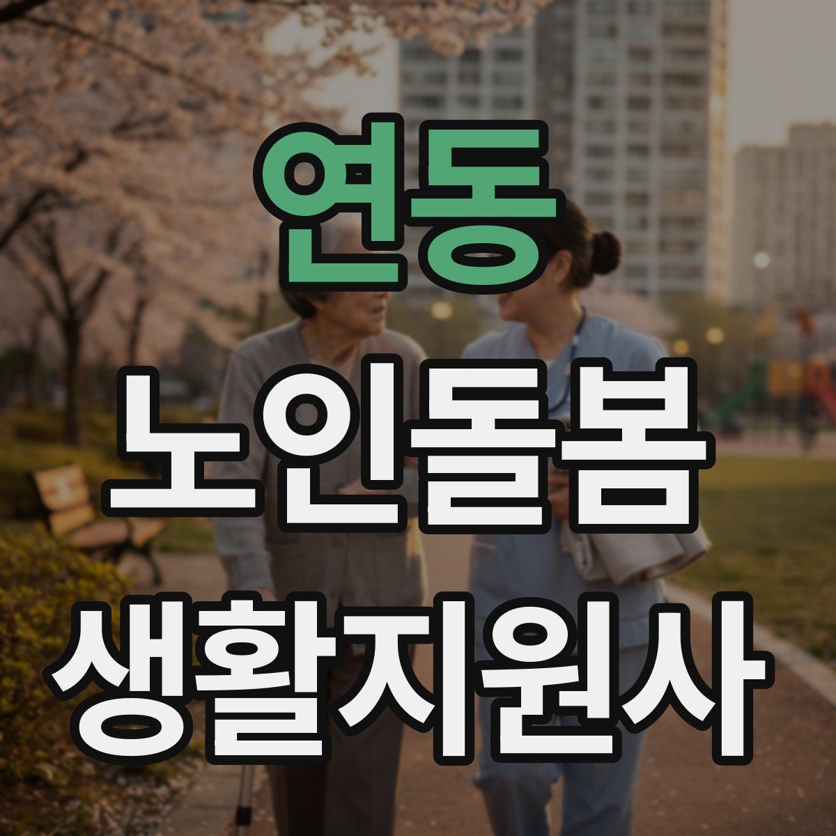 연동 노인돌봄생활지원사 자격증