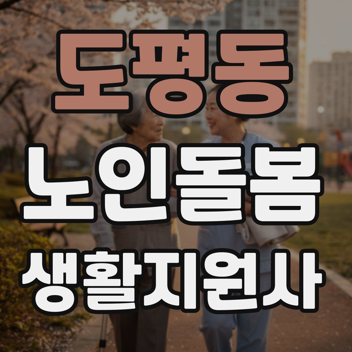 도평동 노인돌봄생활지원사 자격증