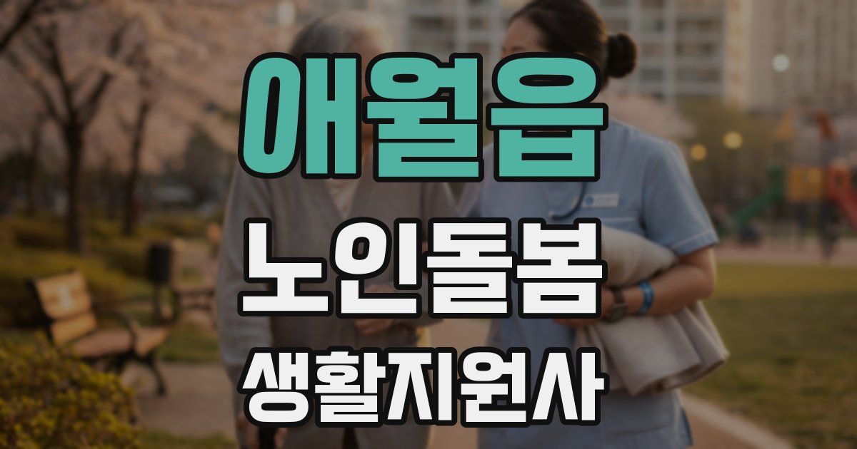 애월읍 노인돌봄생활지원사 자격증