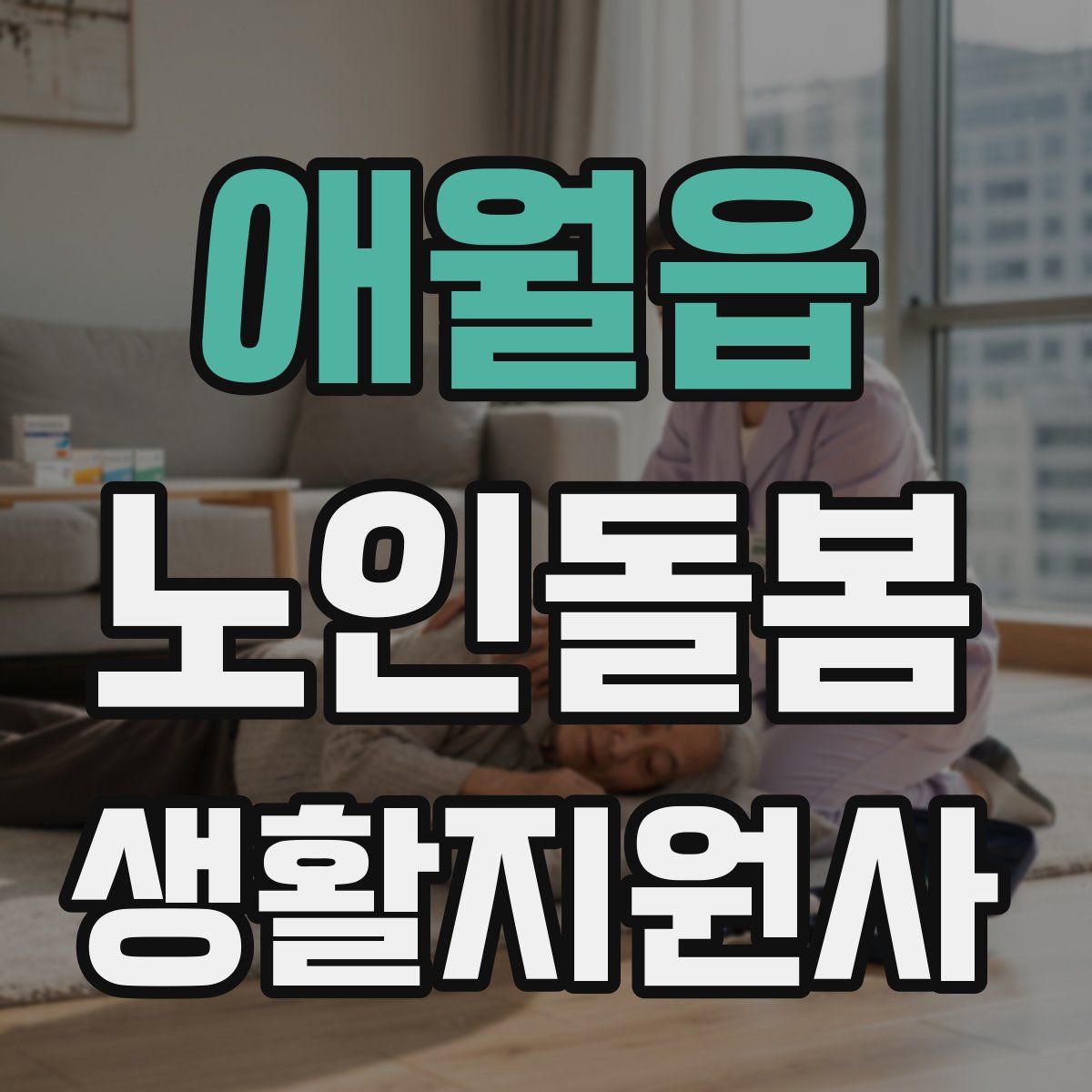 애월읍 노인돌봄생활지원사 자격증