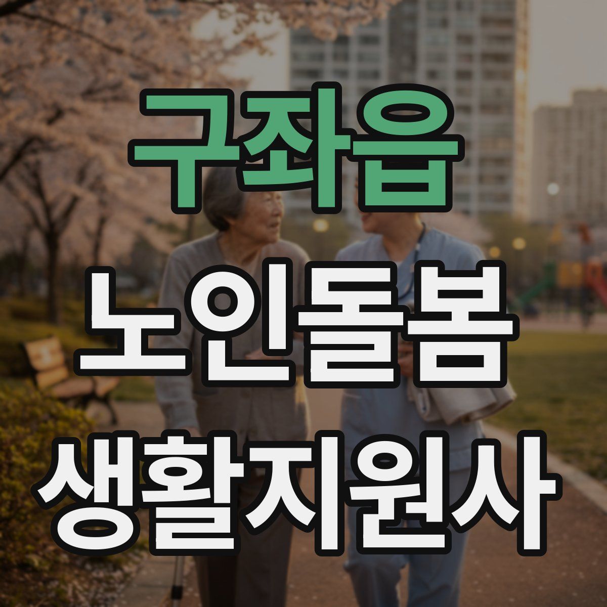 구좌읍 노인돌봄생활지원사 자격증