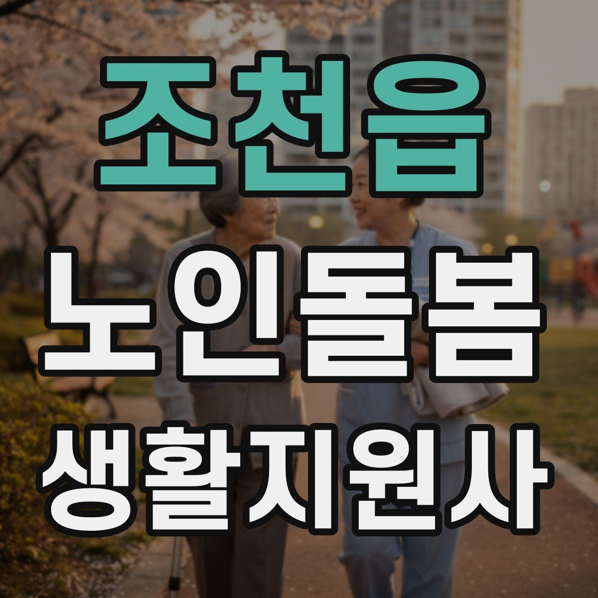 조천읍 노인돌봄생활지원사 자격증