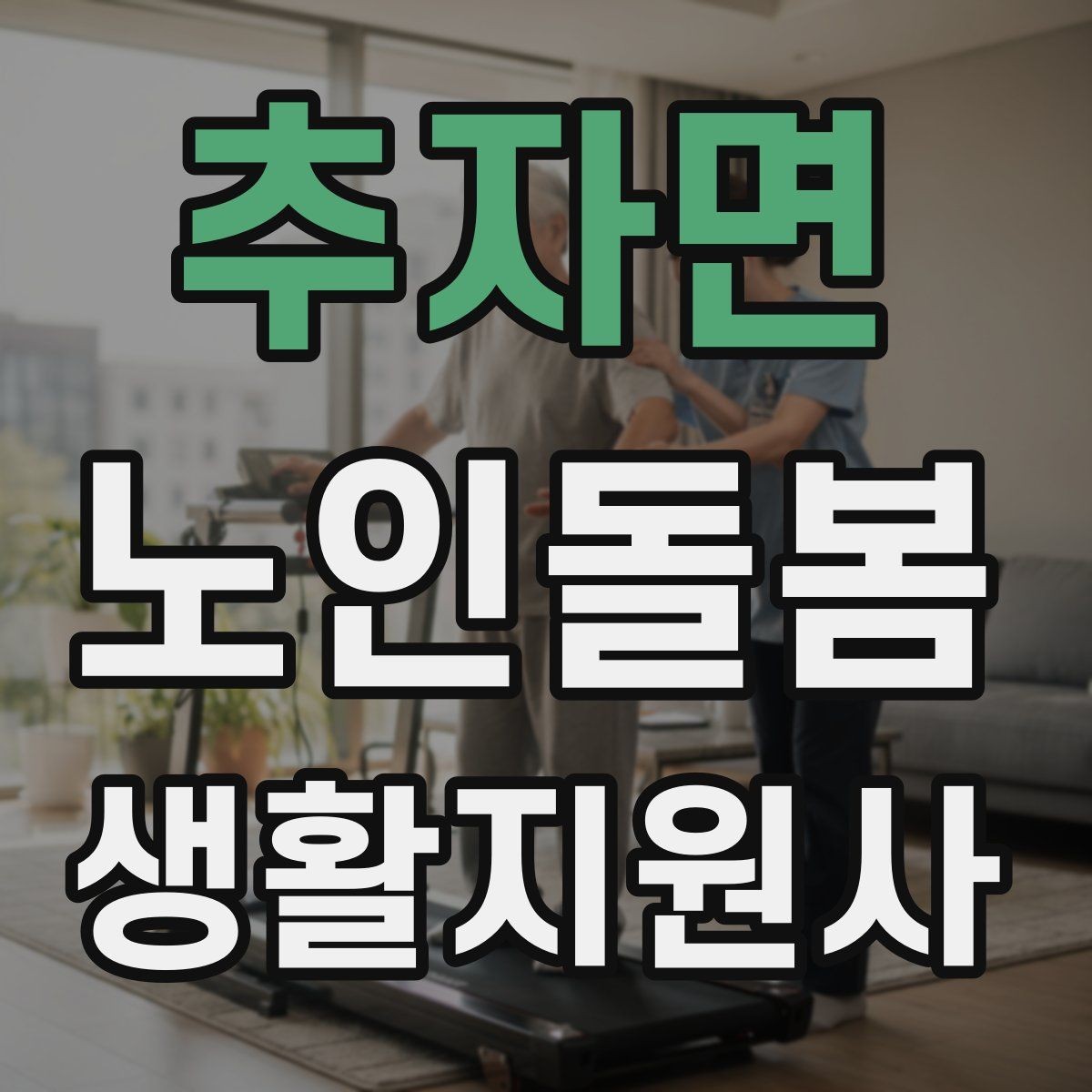 추자면 노인돌봄생활지원사 자격증 복약 정보를 확인하는 방법 정리