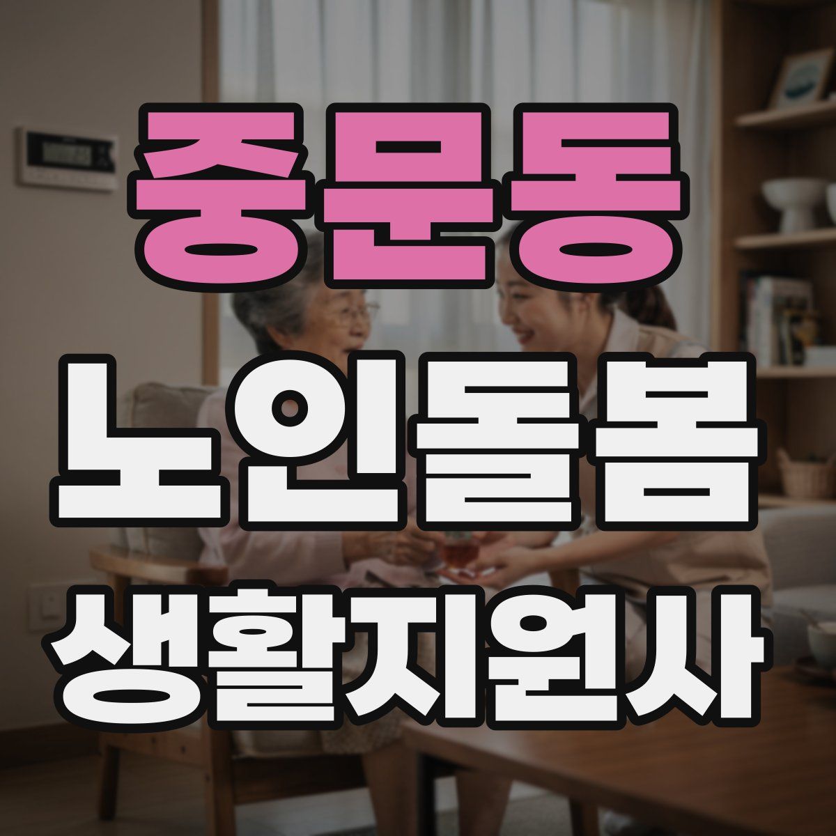 중문동 노인돌봄생활지원사 자격증