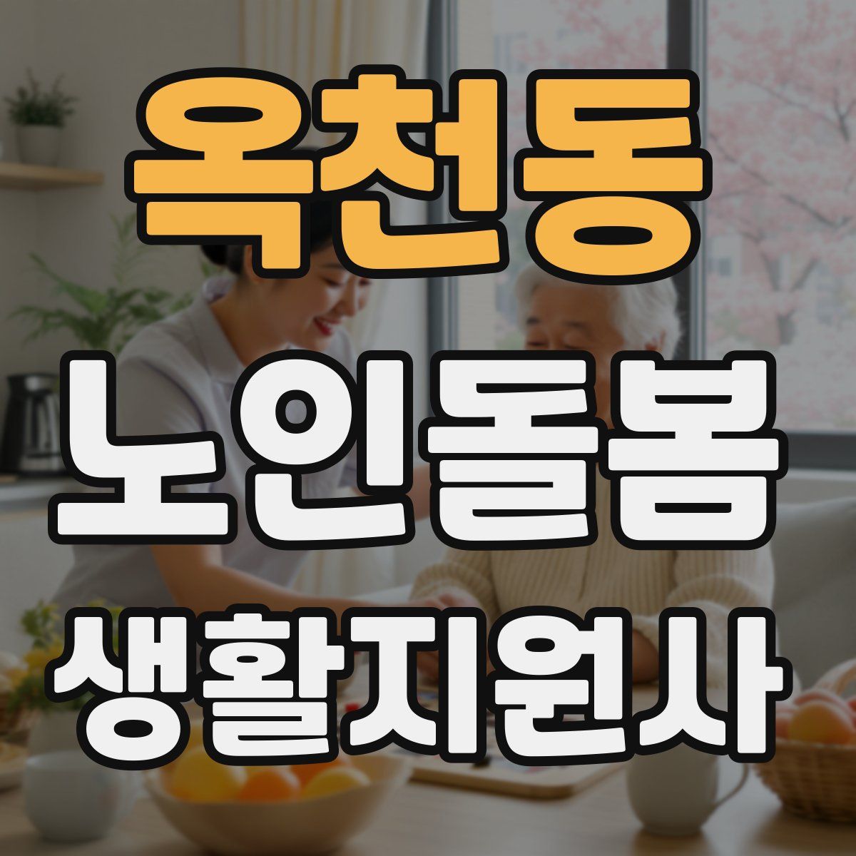 옥천동 노인돌봄생활지원사 자격증