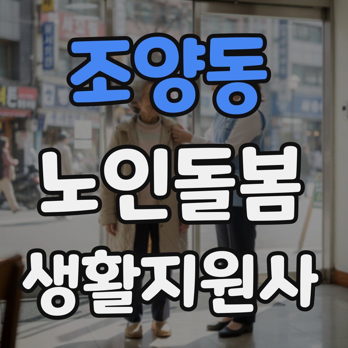 조양동 노인돌봄생활지원사 자격증
