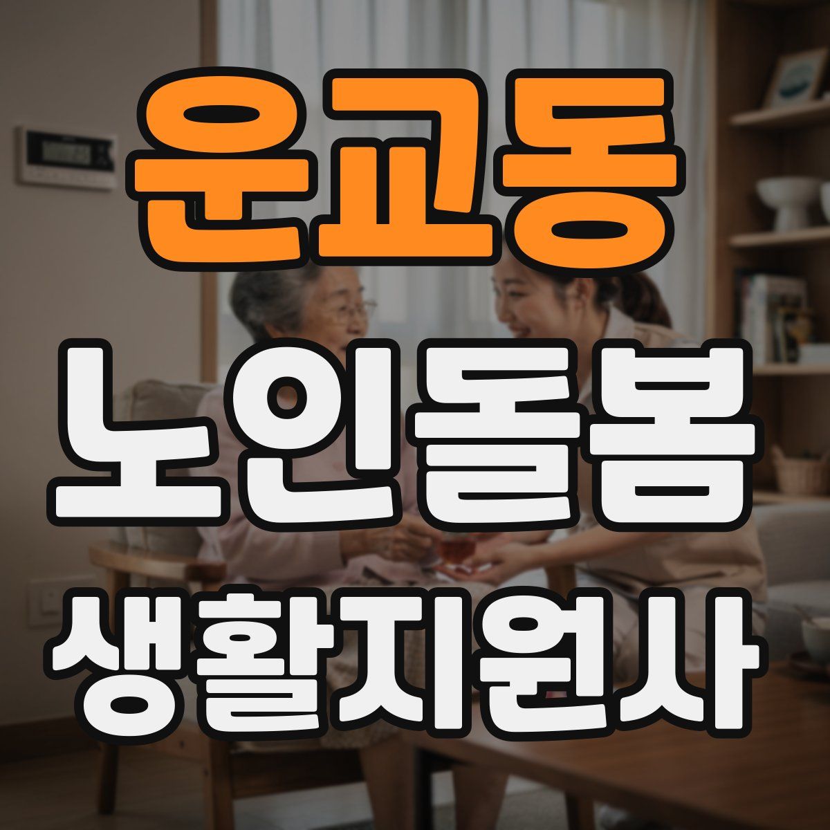 운교동 노인돌봄생활지원사 자격증