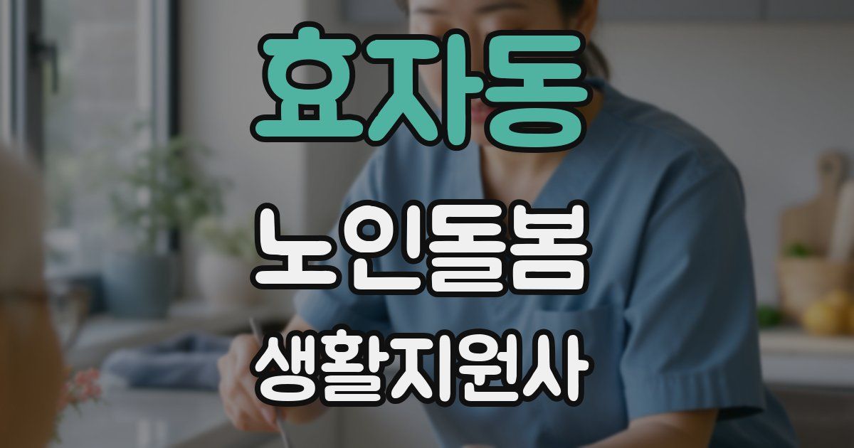 효자동 노인돌봄생활지원사 자격증