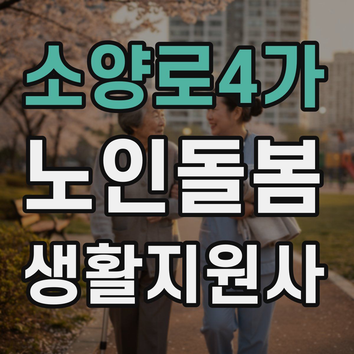 소양로4가 노인돌봄생활지원사 자격증