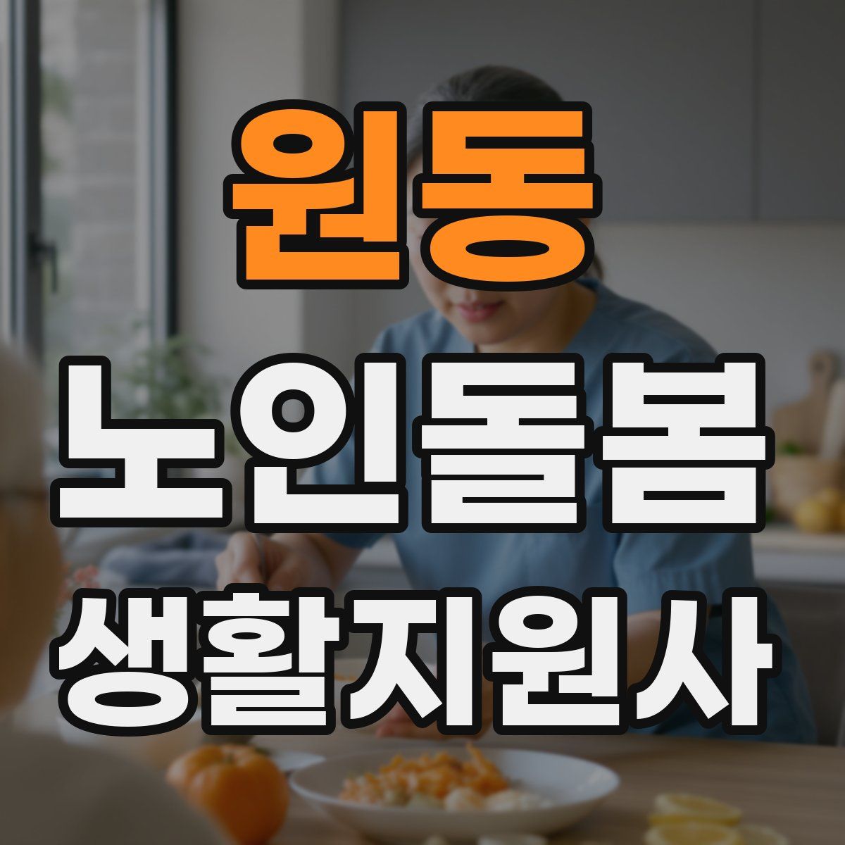 원동 노인돌봄생활지원사 자격증