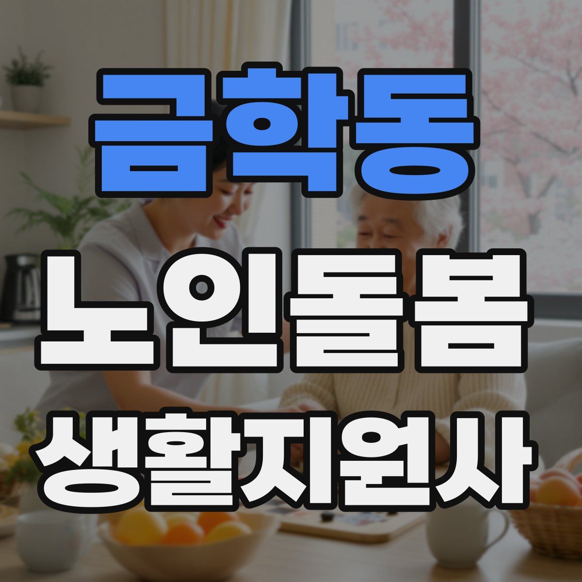 금학동 노인돌봄생활지원사 자격증