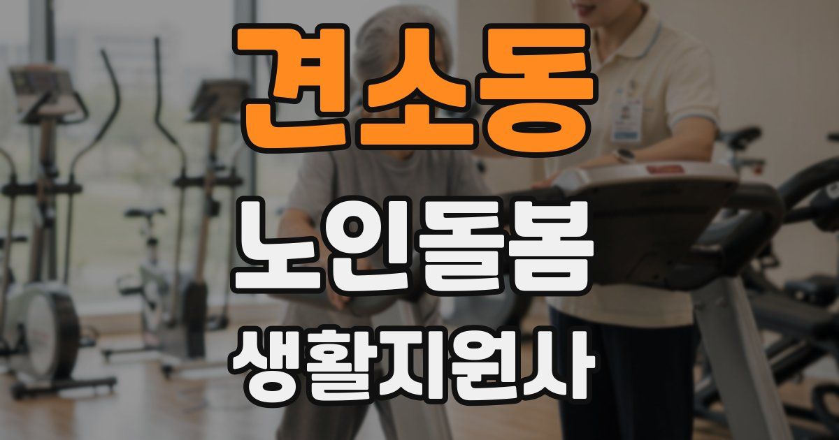 견소동 노인돌봄생활지원사 자격증