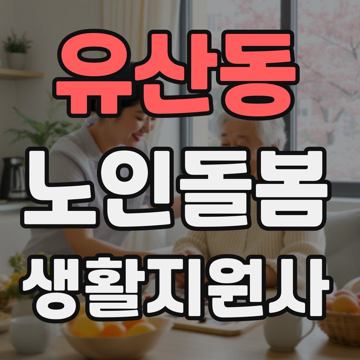 유산동 노인돌봄생활지원사 자격증