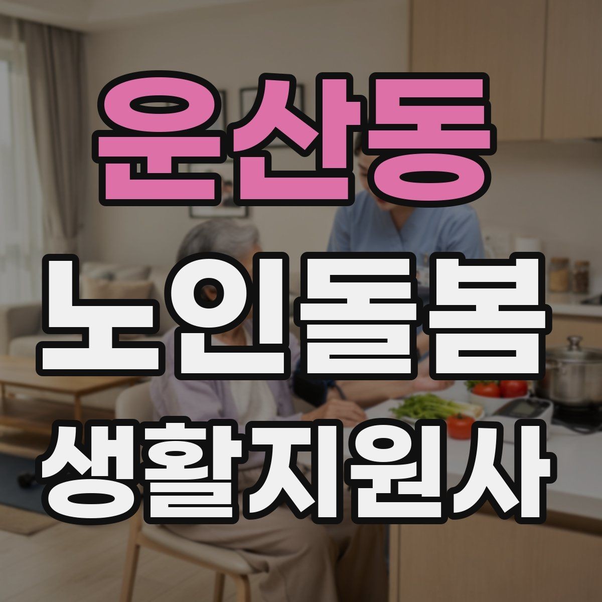 운산동 노인돌봄생활지원사 자격증 시험 방식과 준비 순서 정리