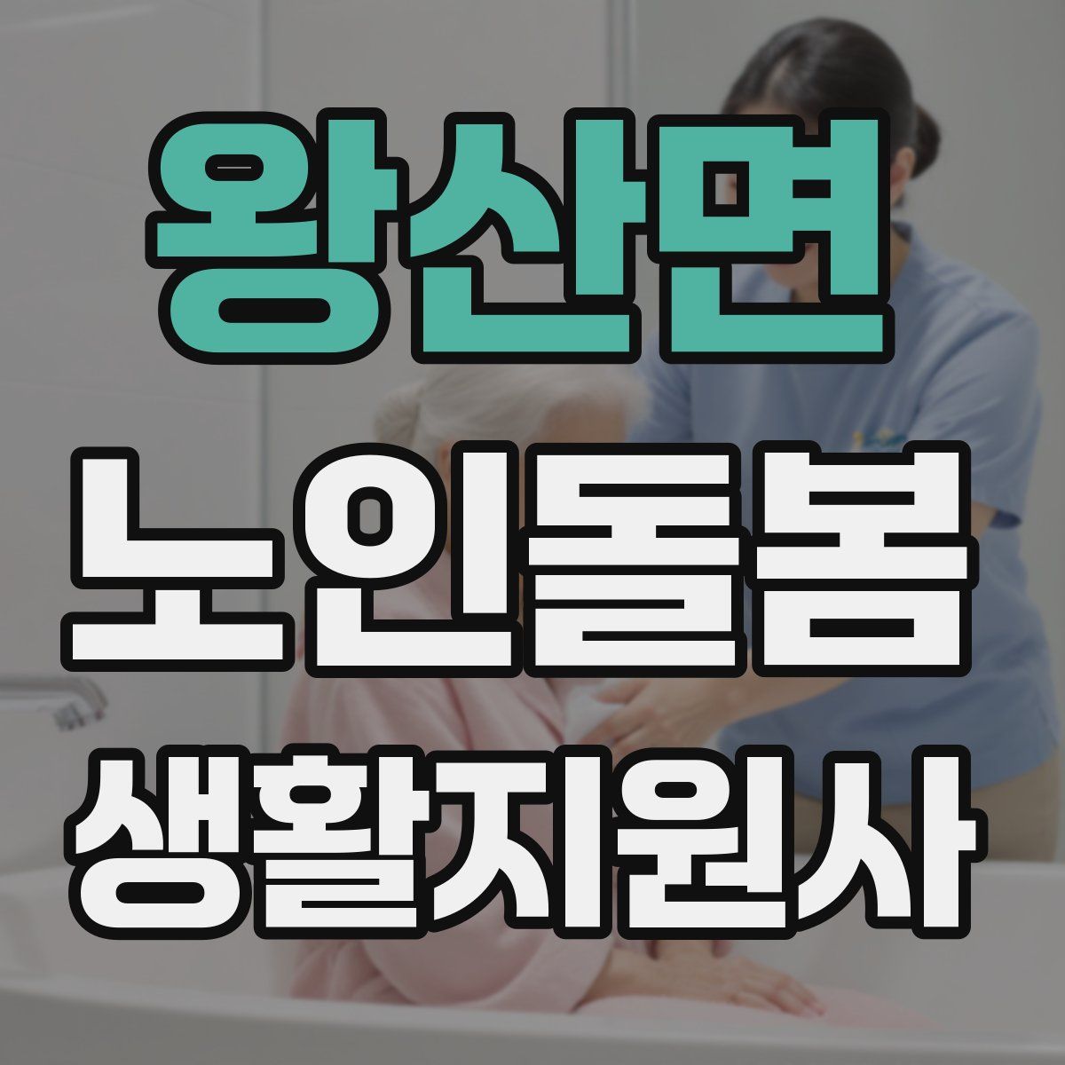 왕산면 노인돌봄생활지원사 자격증
