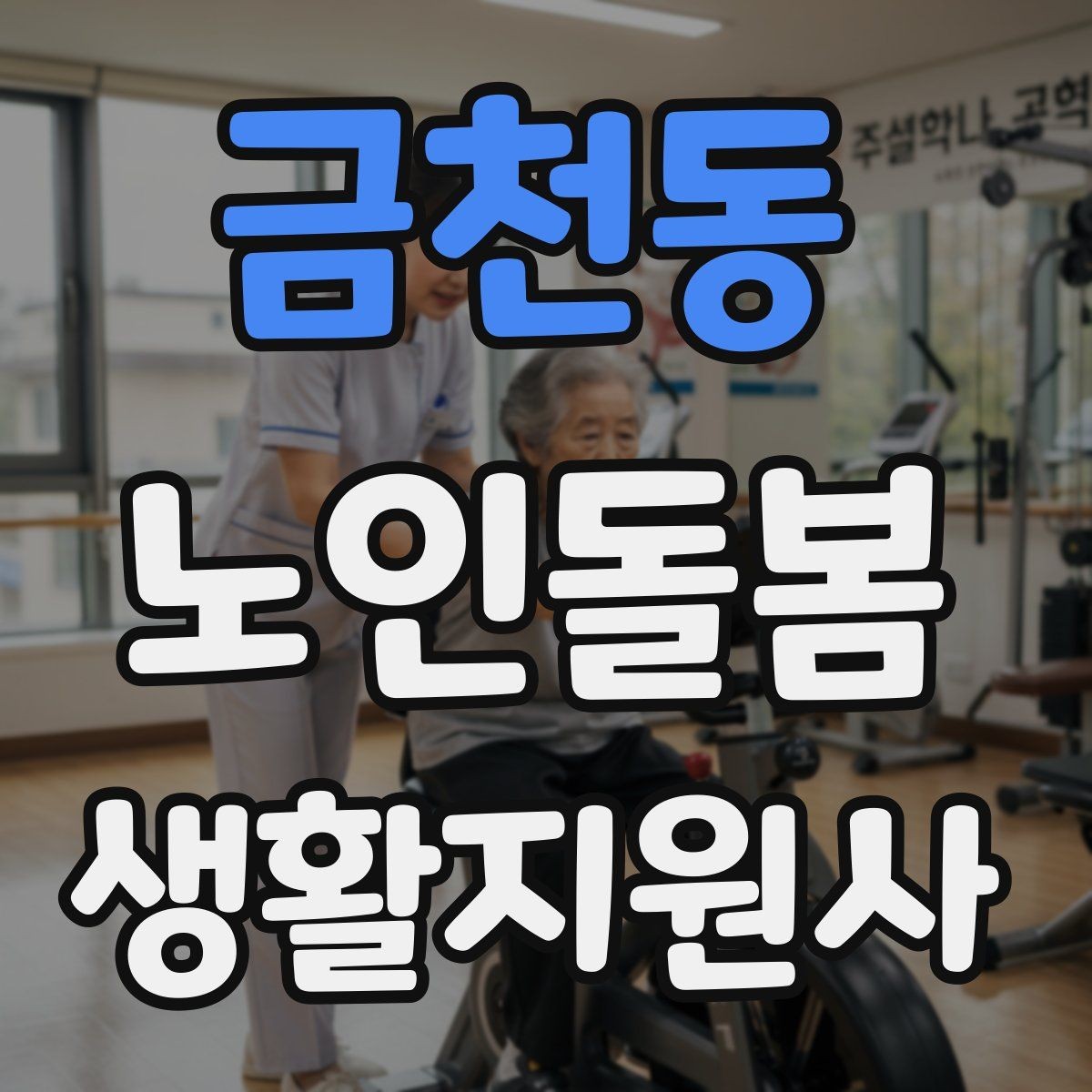 금천동 노인돌봄생활지원사 자격증 한 번에 이해하는 업무 핵심 정리