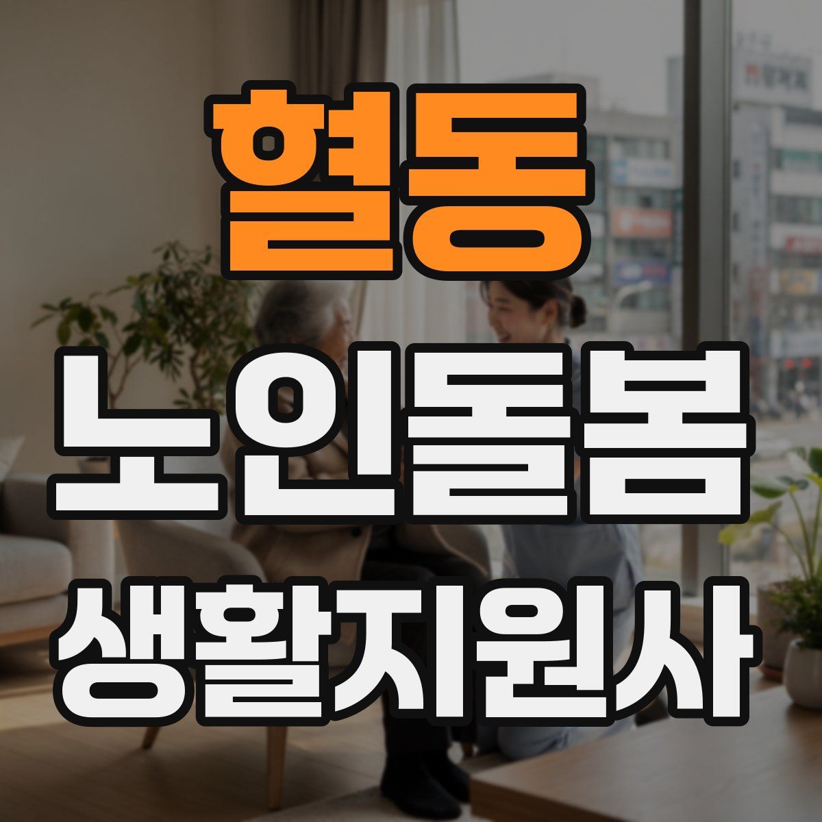 혈동 노인돌봄생활지원사 자격증