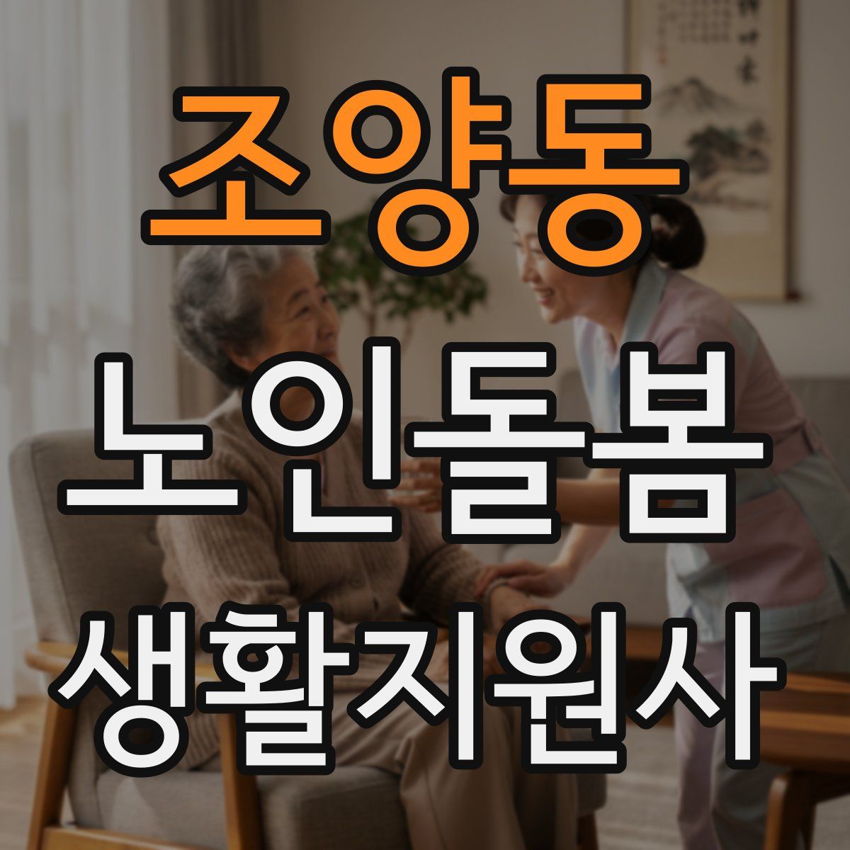 조양동 노인돌봄생활지원사 자격증