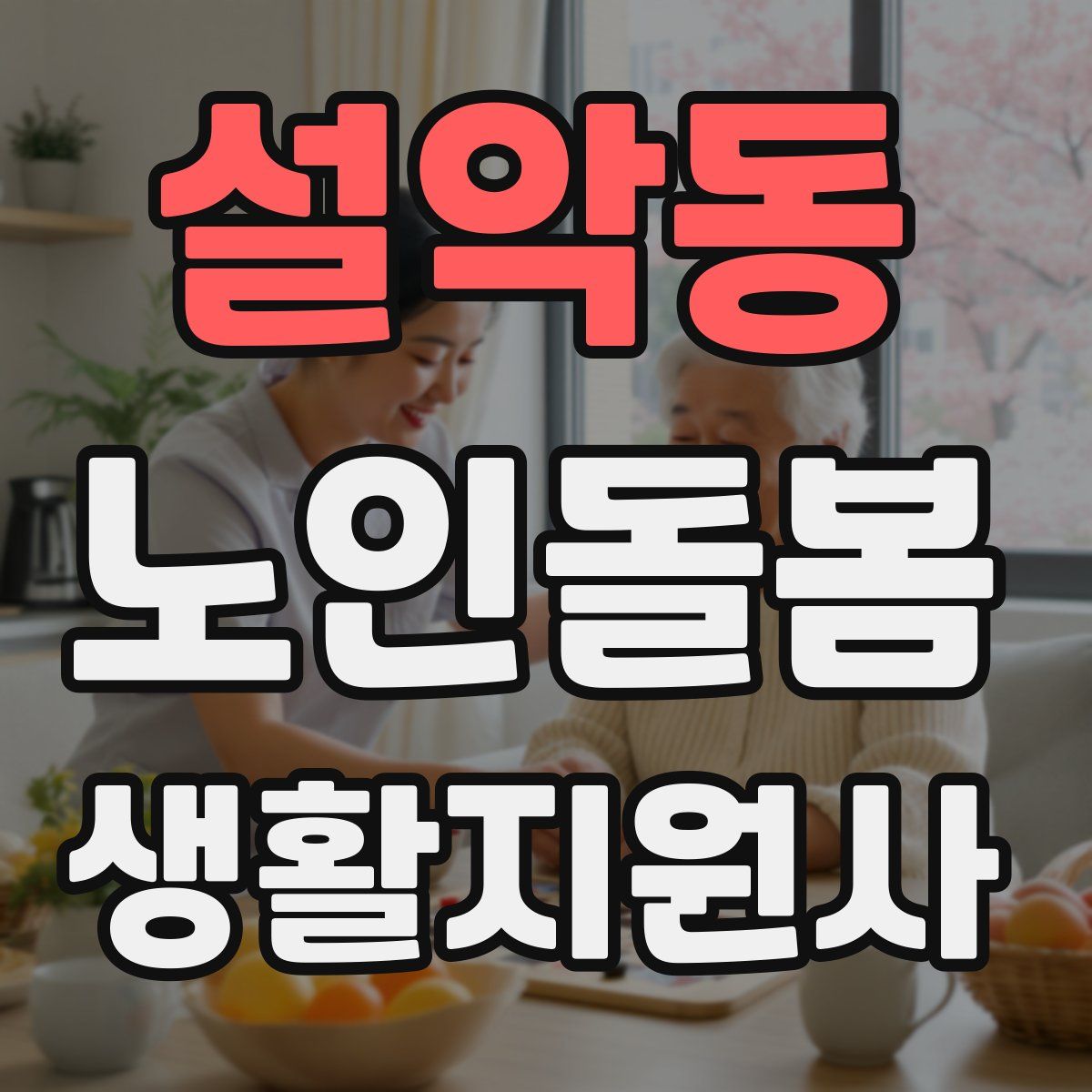 설악동 노인돌봄생활지원사 자격증