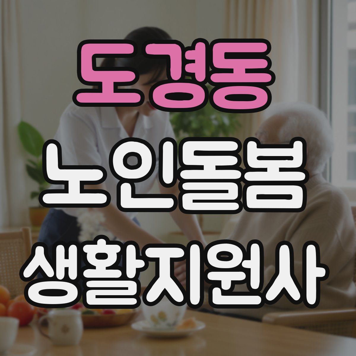 도경동 노인돌봄생활지원사 자격증