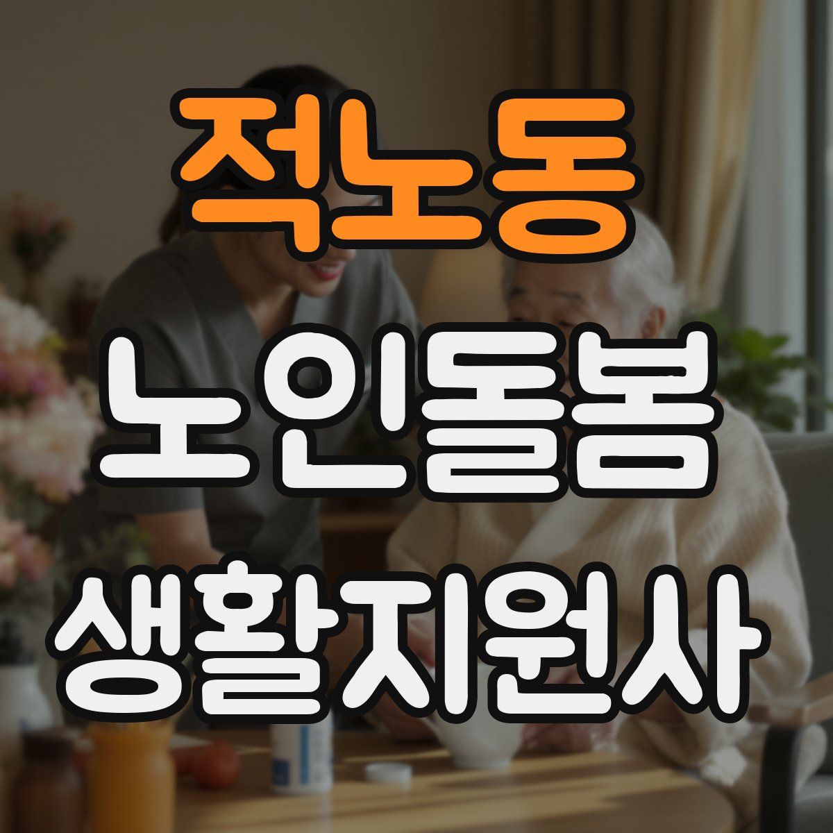 적노동 노인돌봄생활지원사 자격증