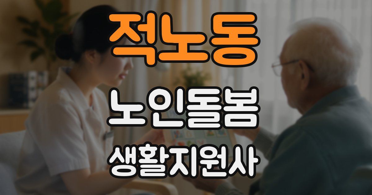 적노동 노인돌봄생활지원사 자격증