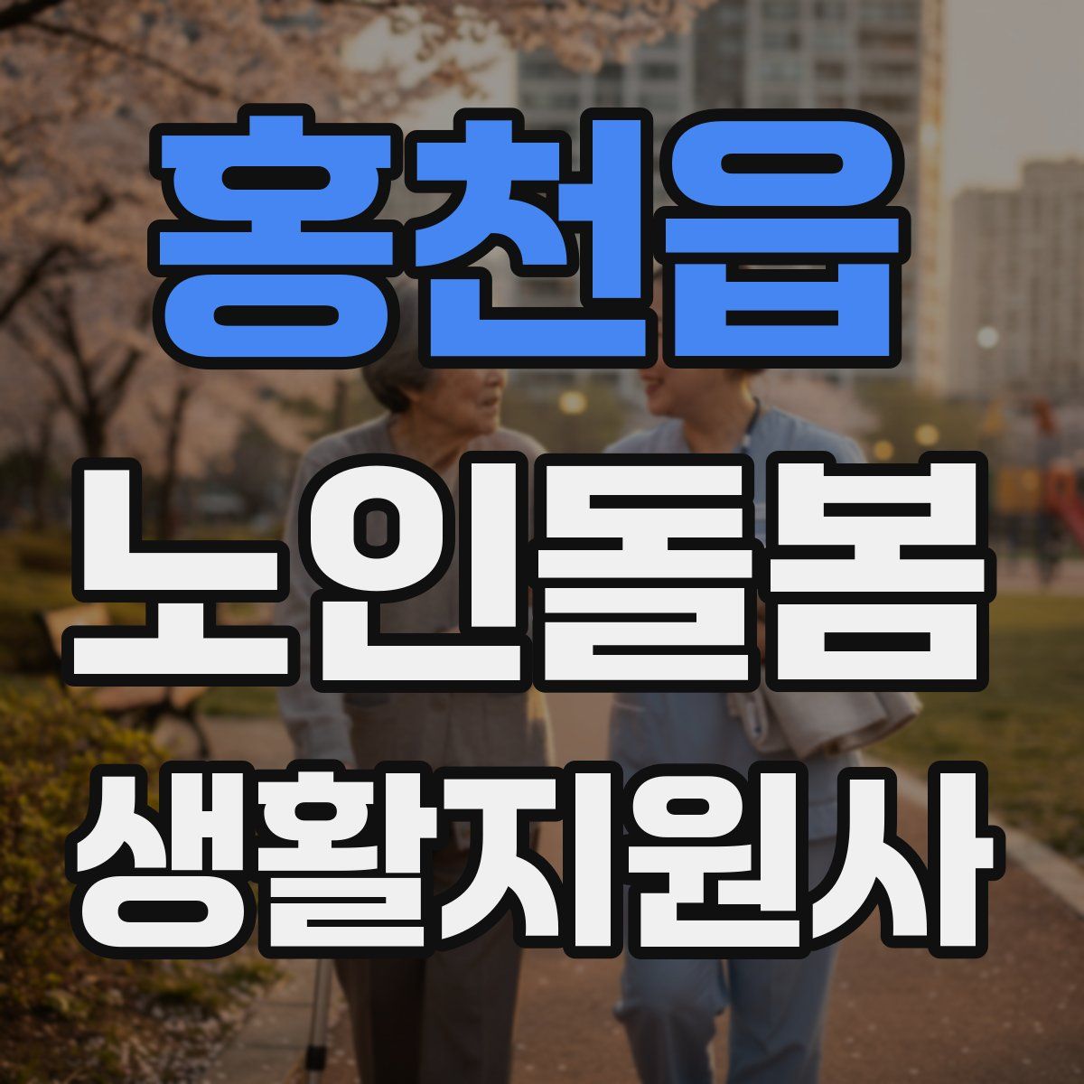 홍천읍 노인돌봄생활지원사 자격증