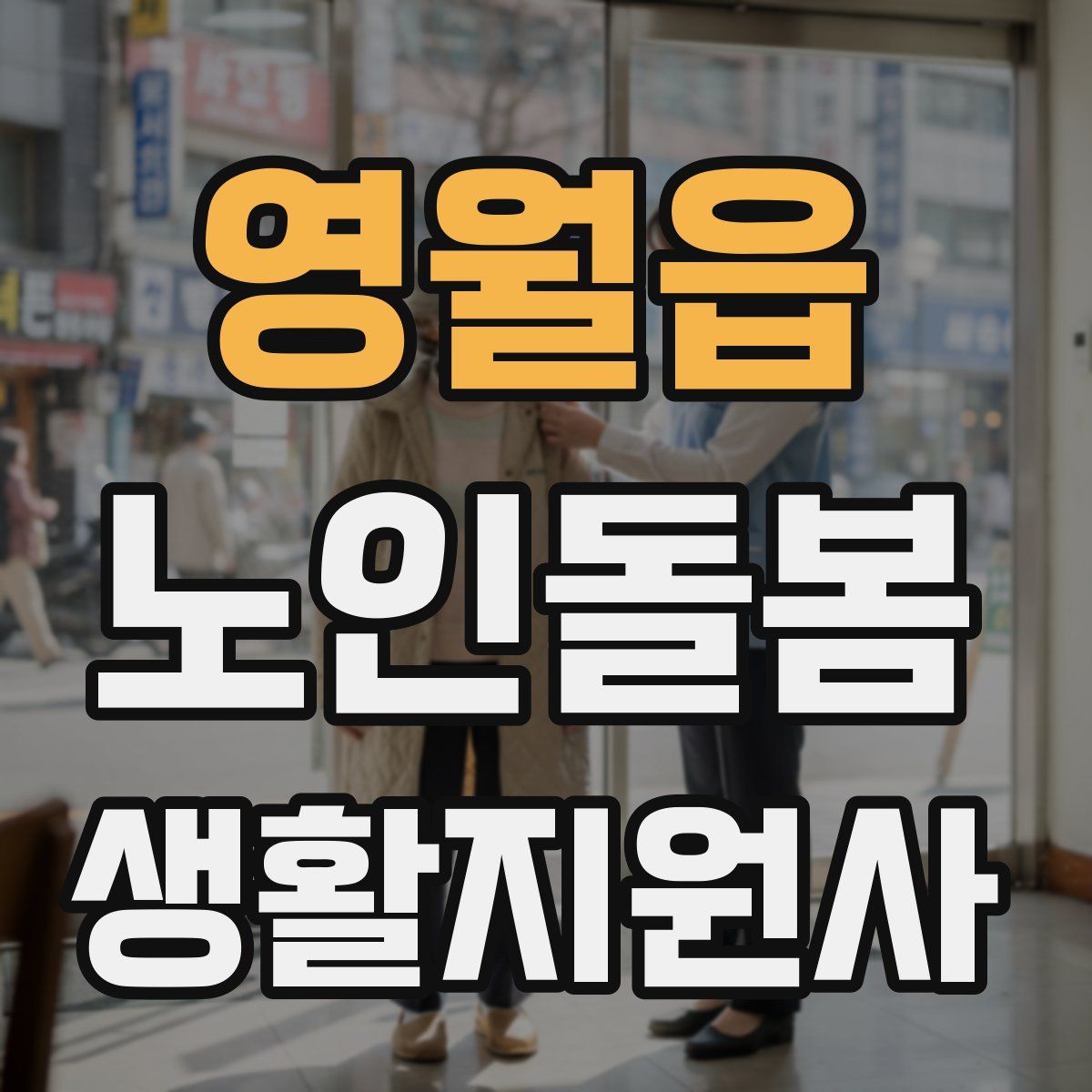 영월읍 노인돌봄생활지원사 자격증