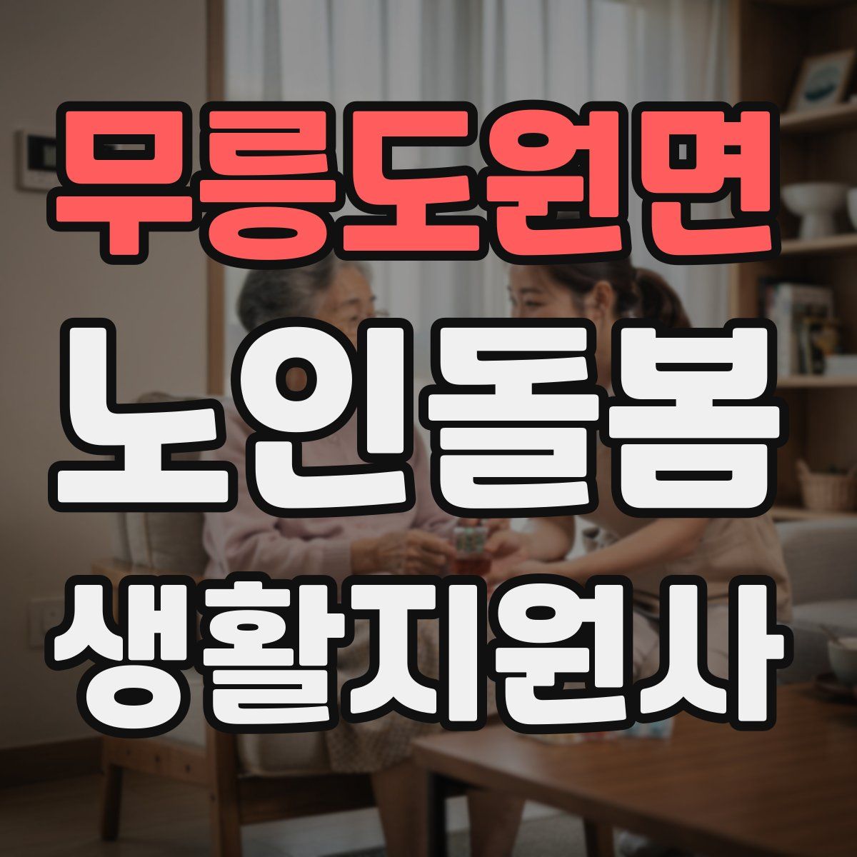 무릉도원면 노인돌봄생활지원사 자격증