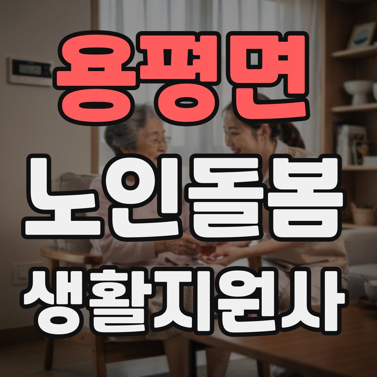 용평면 노인돌봄생활지원사 자격증